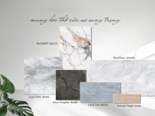 Đại lý phân phối gạch lát nền An Giang đáng tin cậy