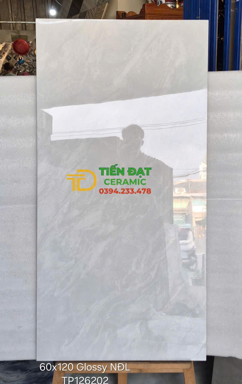 Gạch Bóng Kiếng Vi Tinh 60x120 Vicenra Vân Xám Nhạt