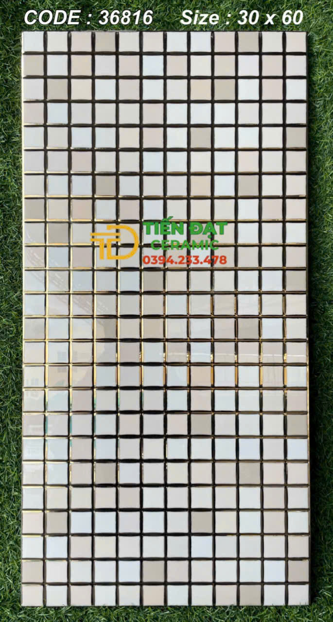 Gạch Trang Trí 30x60 TQ Ốp Nhà Tắm Bể Bơi Khắc Kim