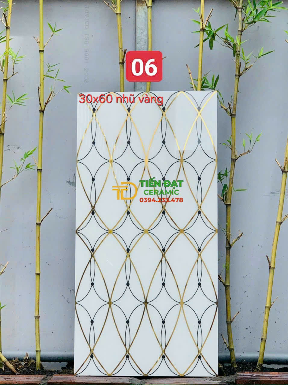 Gạch Trang Trí TQ 30x60 Nhũ Vàng Mẫu Mới