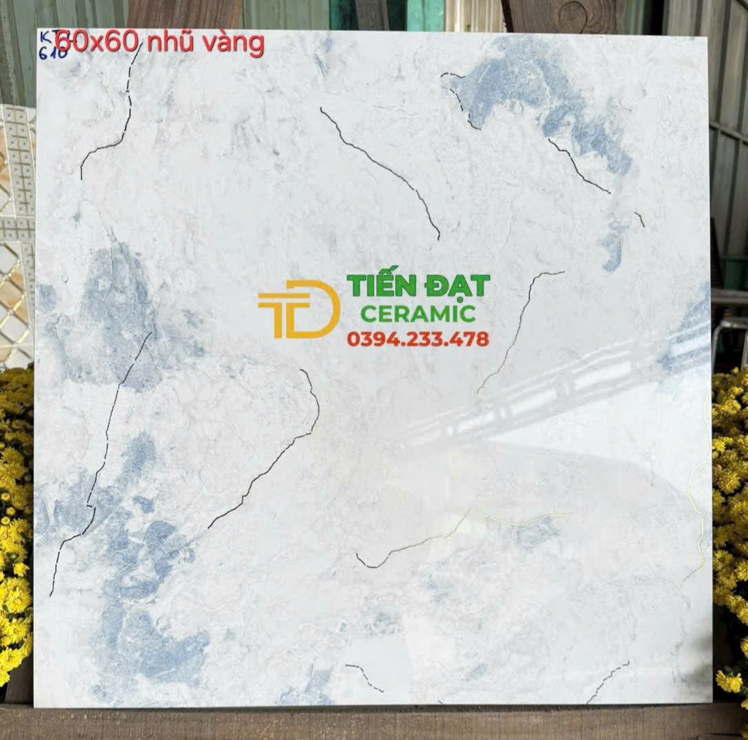 Tổng Kho Gạch TQ 60x60 Trắng Xanh Nhạt Nhũ Vàng Tại Miền Nam