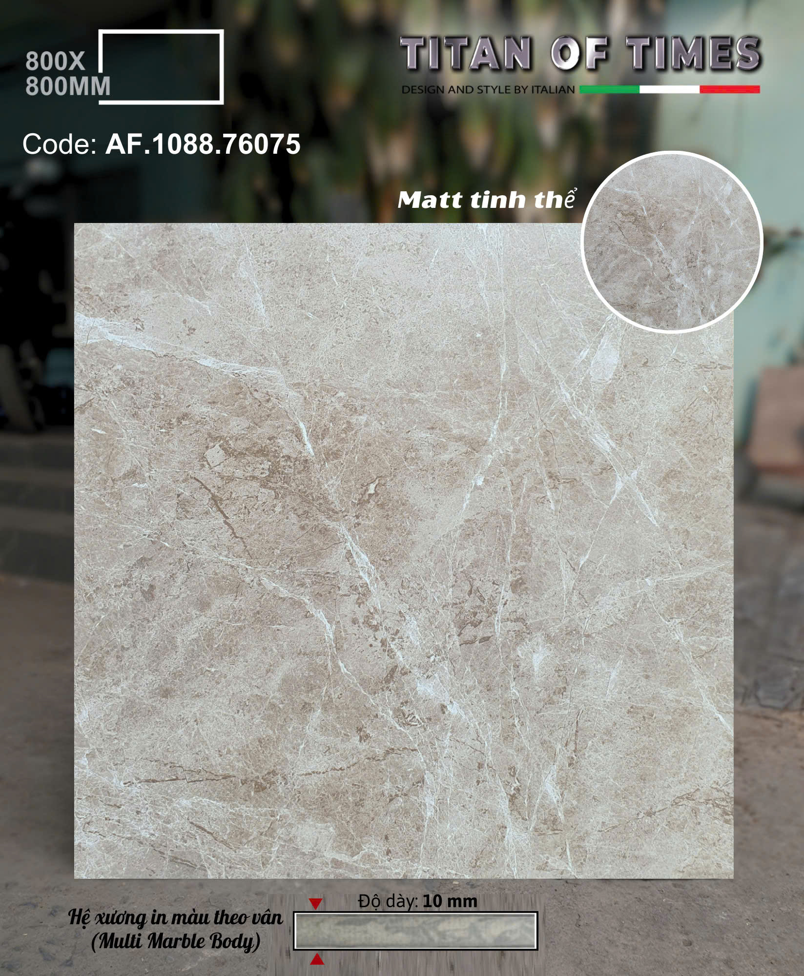Gạch Apodio Cao Cấp 80x80 Đá Mờ Matt Tinh Thể