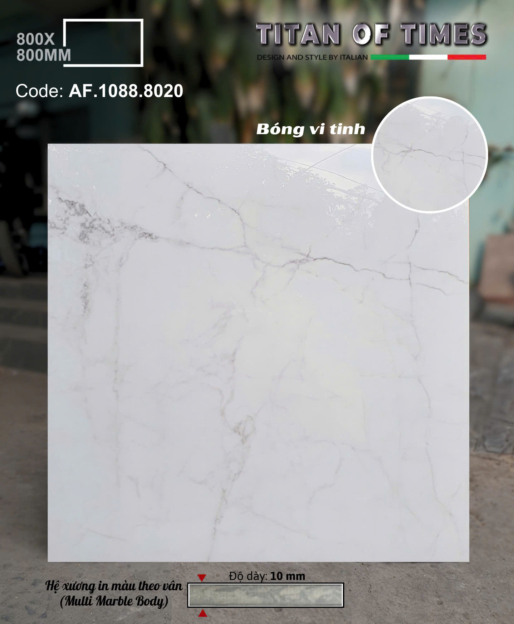 Gạch Đá Granite 80x80 Apodio Lát Nền Trắng Vân Khói
