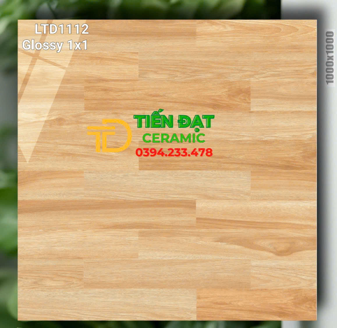 Gạch Giả Gỗ 100x100 Khổ Lớn Prime Bóng Kiếng Cao Cấp