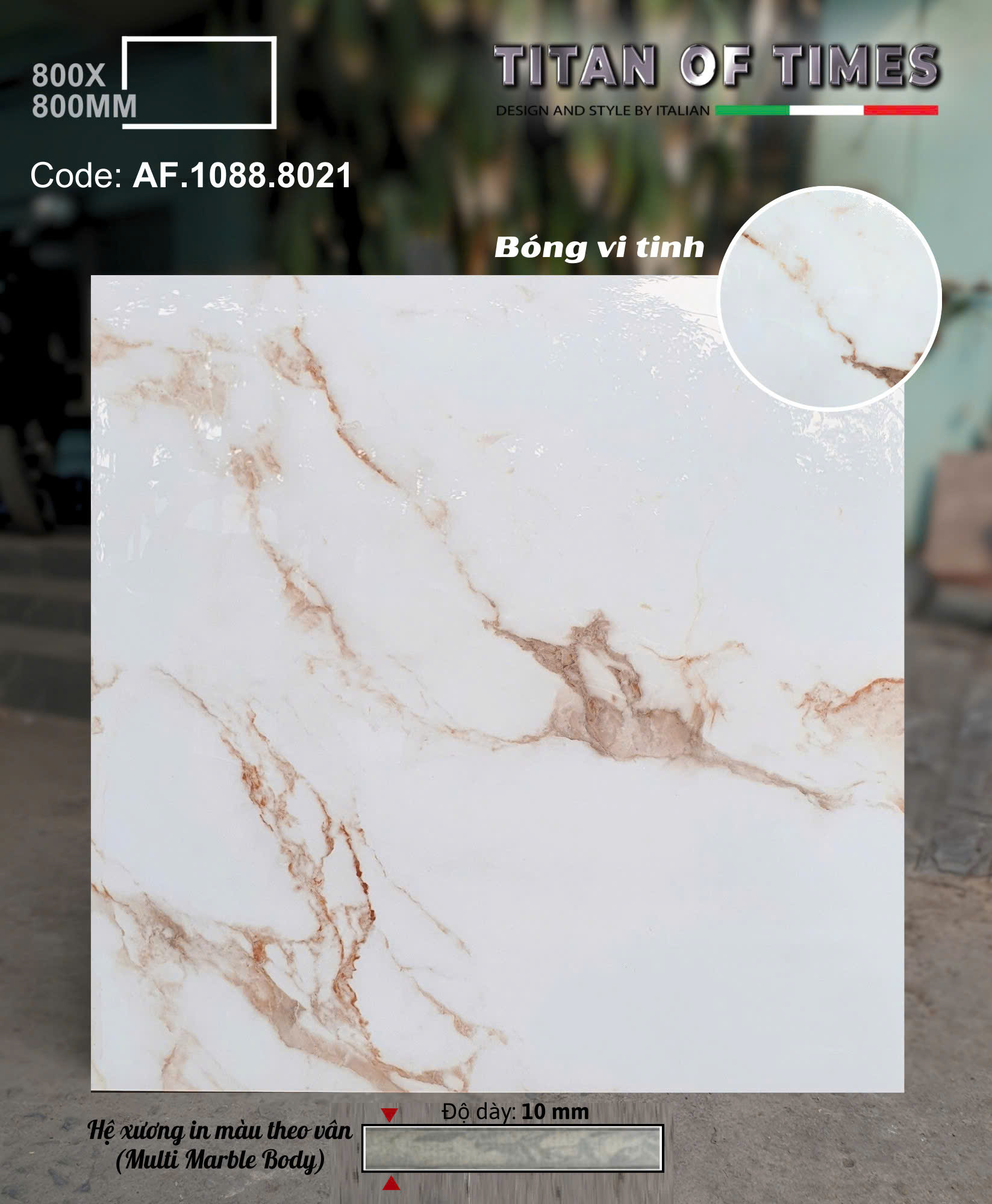 Tổng Kho Gạch Lát Nền 80x80 Apodio Tại Miền Nam