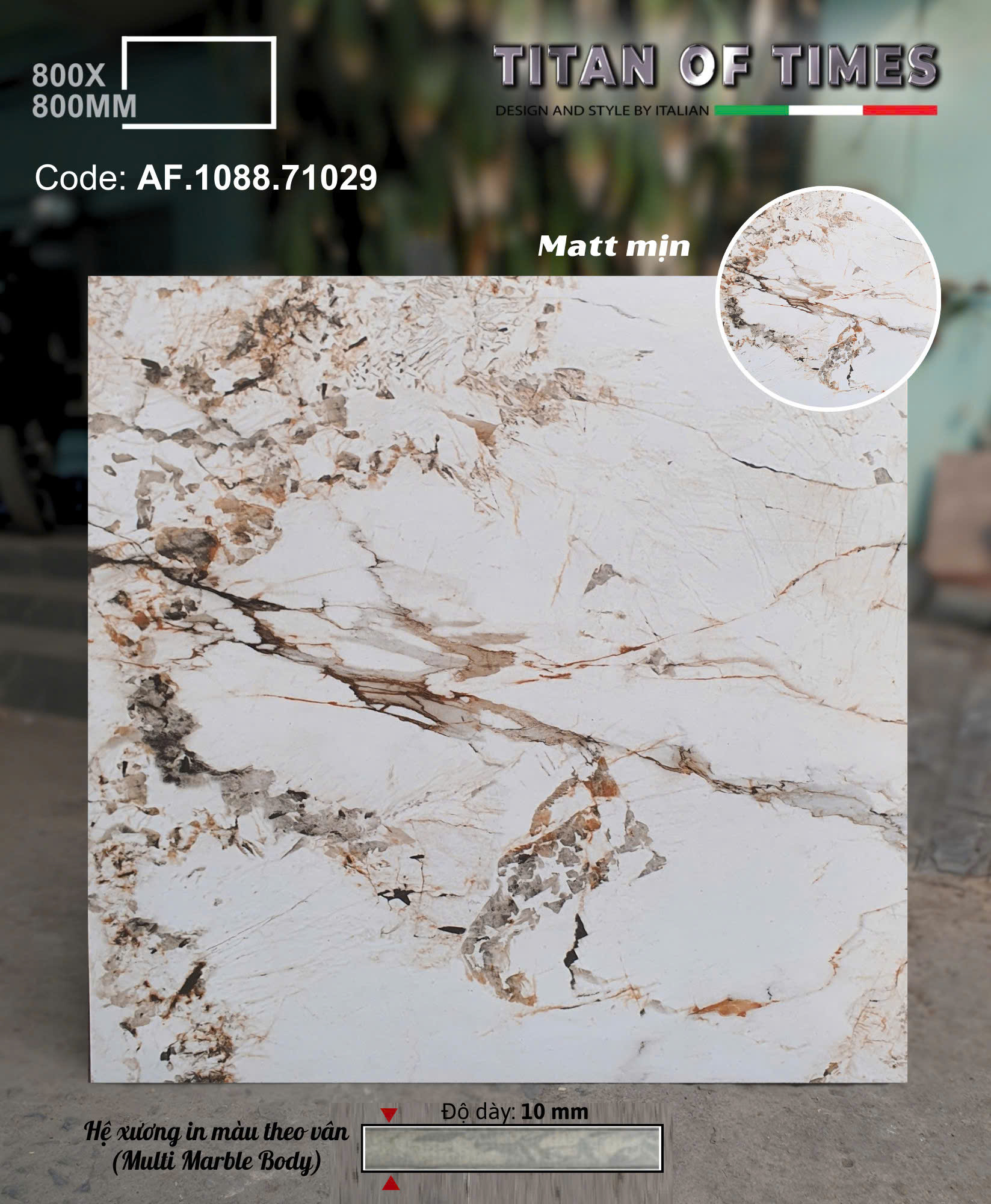 Tổng Kho Gạch Lát Nền Apodio 80x80 Mờ Mịn Tại HCM 