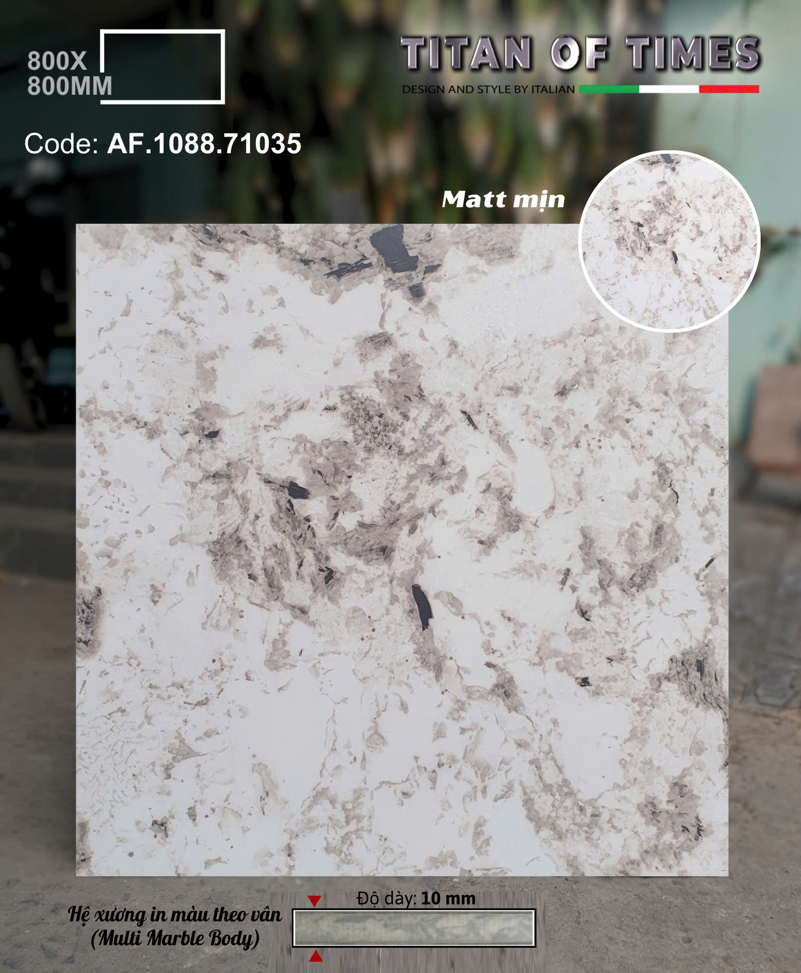 Tổng Kho Gạch Ốp Lát Apodio 80x80 Mờ Mịn Tại HCM