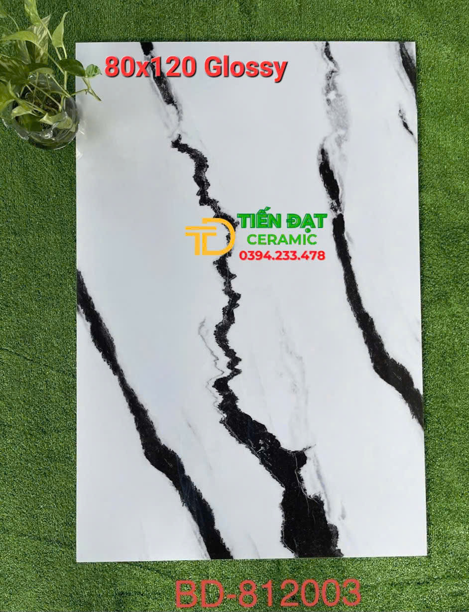 Tổng Kho Gạch Ốp Lát Tasa 80x120 Trắng Vân Đen Tại HCM