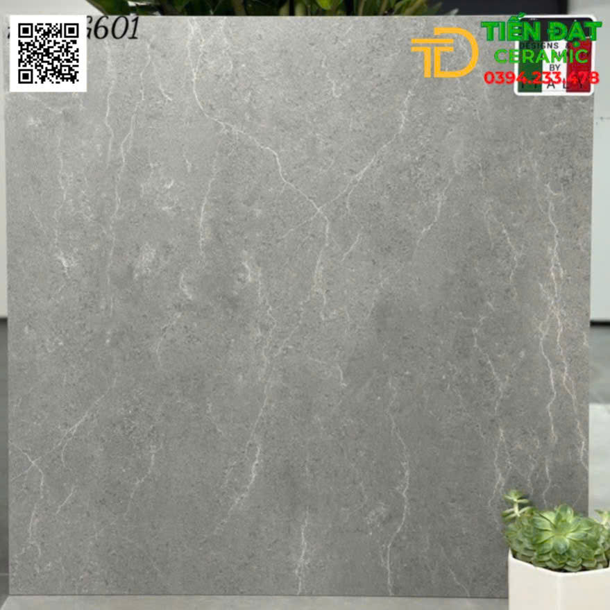 Gạch Đá Mờ Apodio 60x60 Ốp Lát Phòng Khách