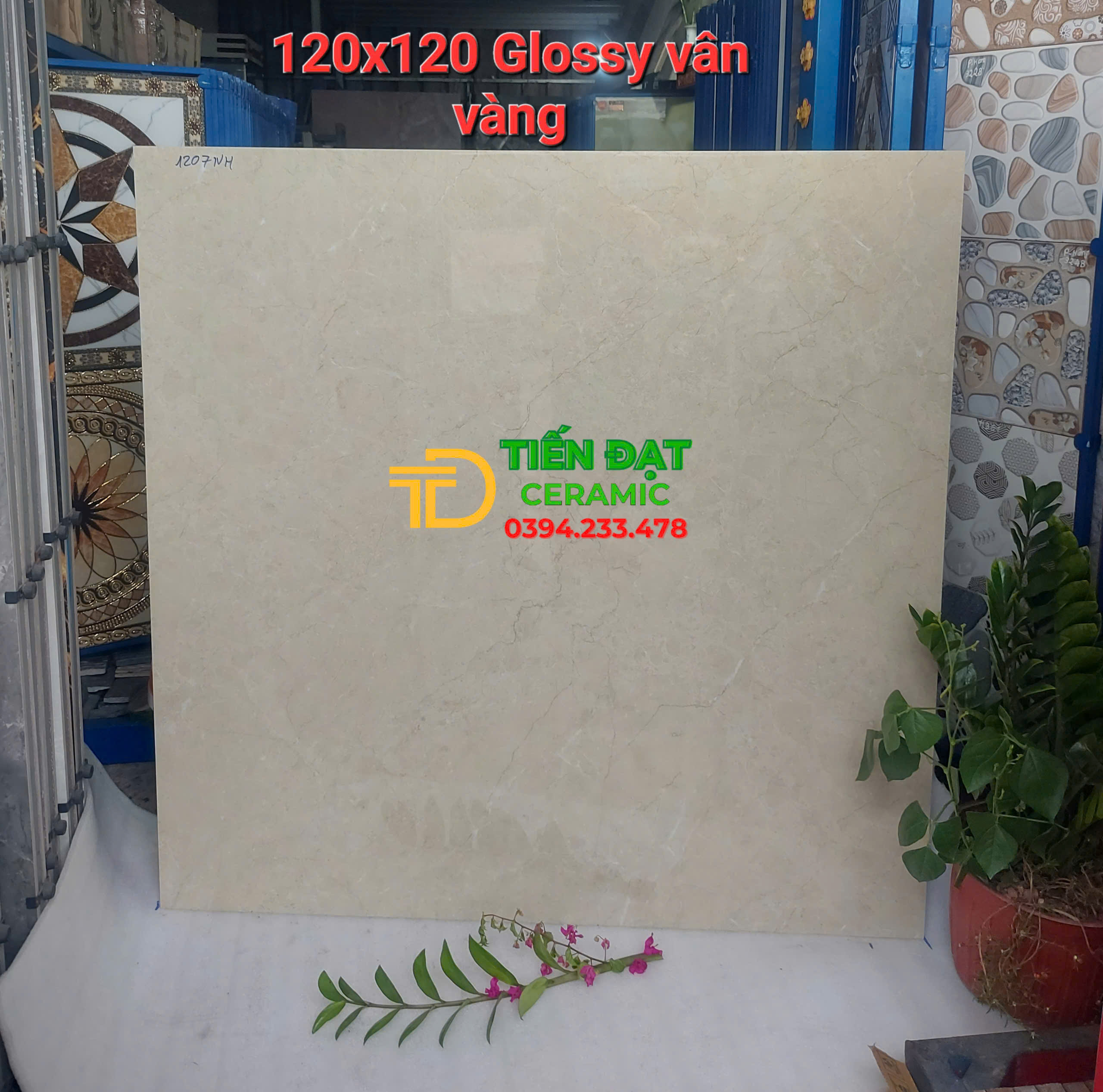 Gạch Khổ Lớn Lát Phòng Khách 120x120 Màu Vàng Cao Cấp