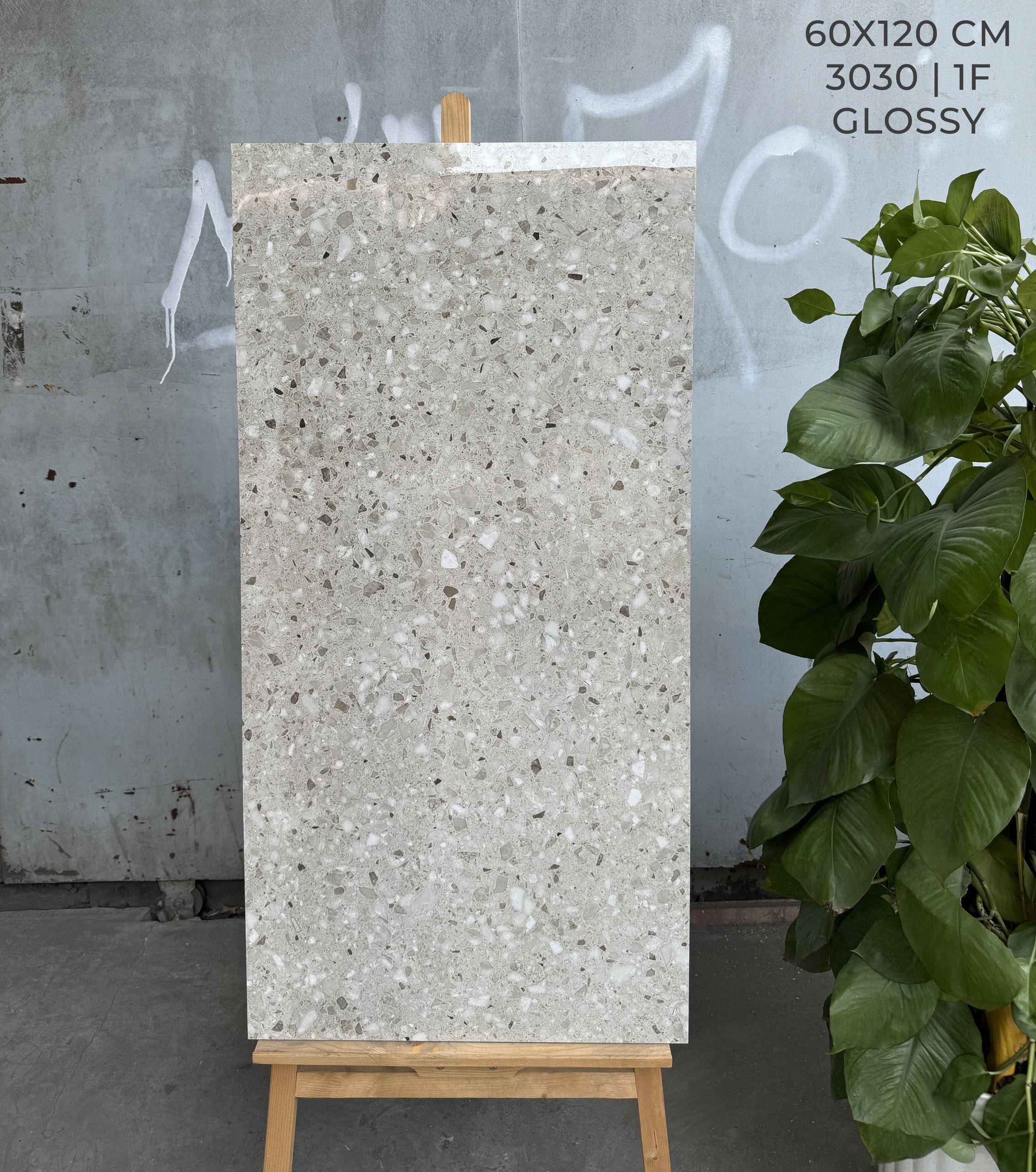 Gạch Lát Nền 60x120 Bóng Kiếng Glossy Terrazzo