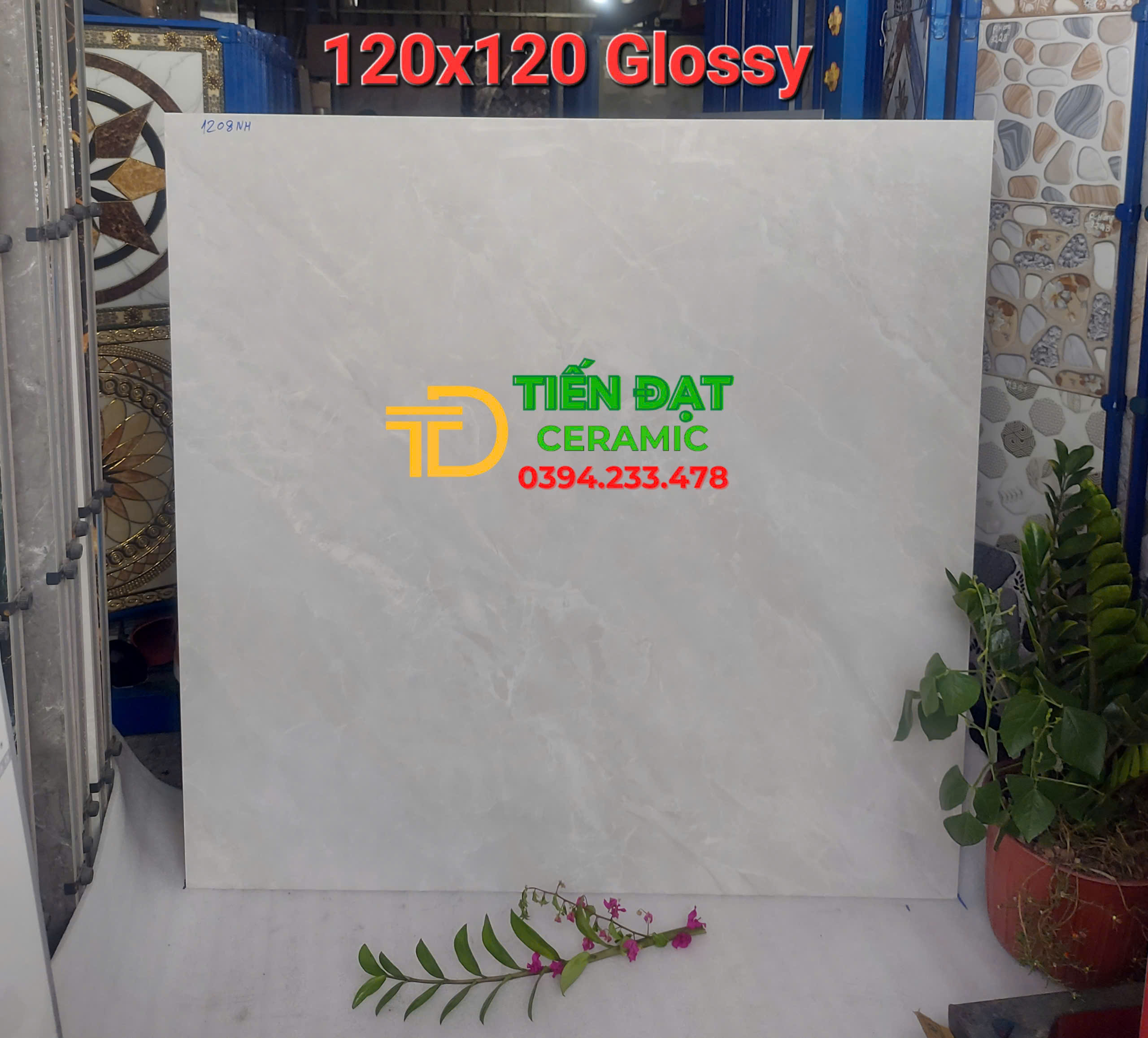 Gạch Lát Phòng Khách 120x120 Đá Bóng Kiếng Vi Tinh 