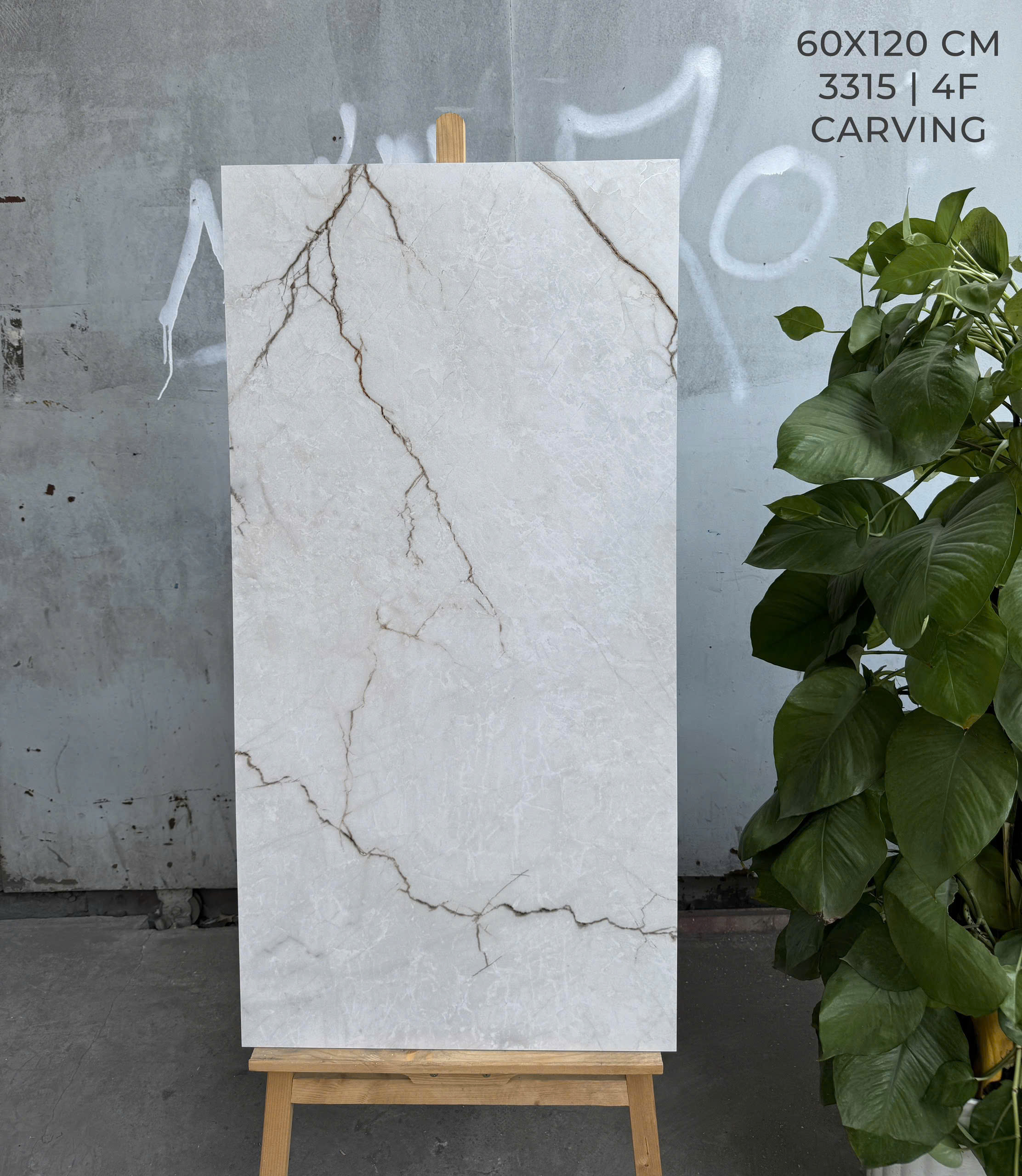 Gạch Marble 60x120 Ốp Lát Phòng Bếp Mờ Carving