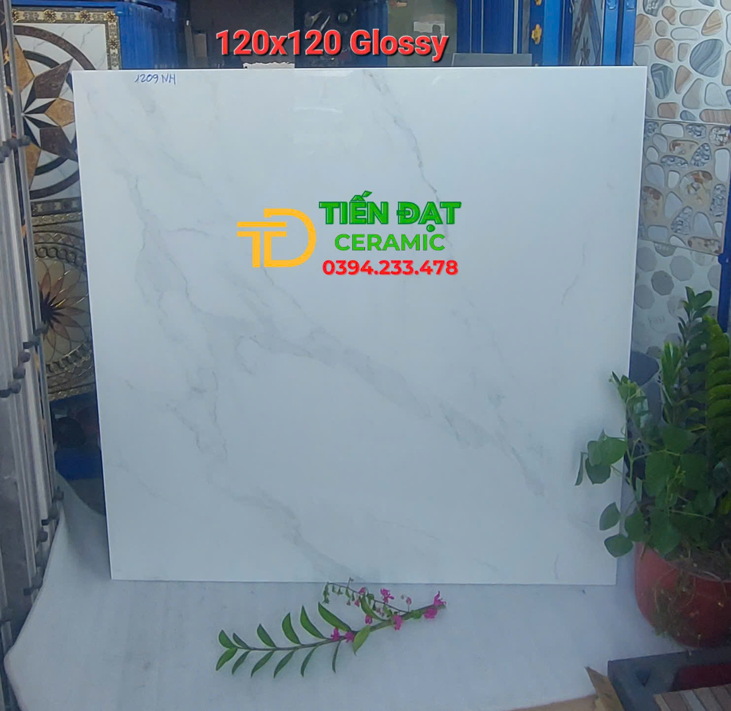 Gạch Nhập Khẩu Ấn Độ 120x120 Trắng Vân Khói Mới Nhất