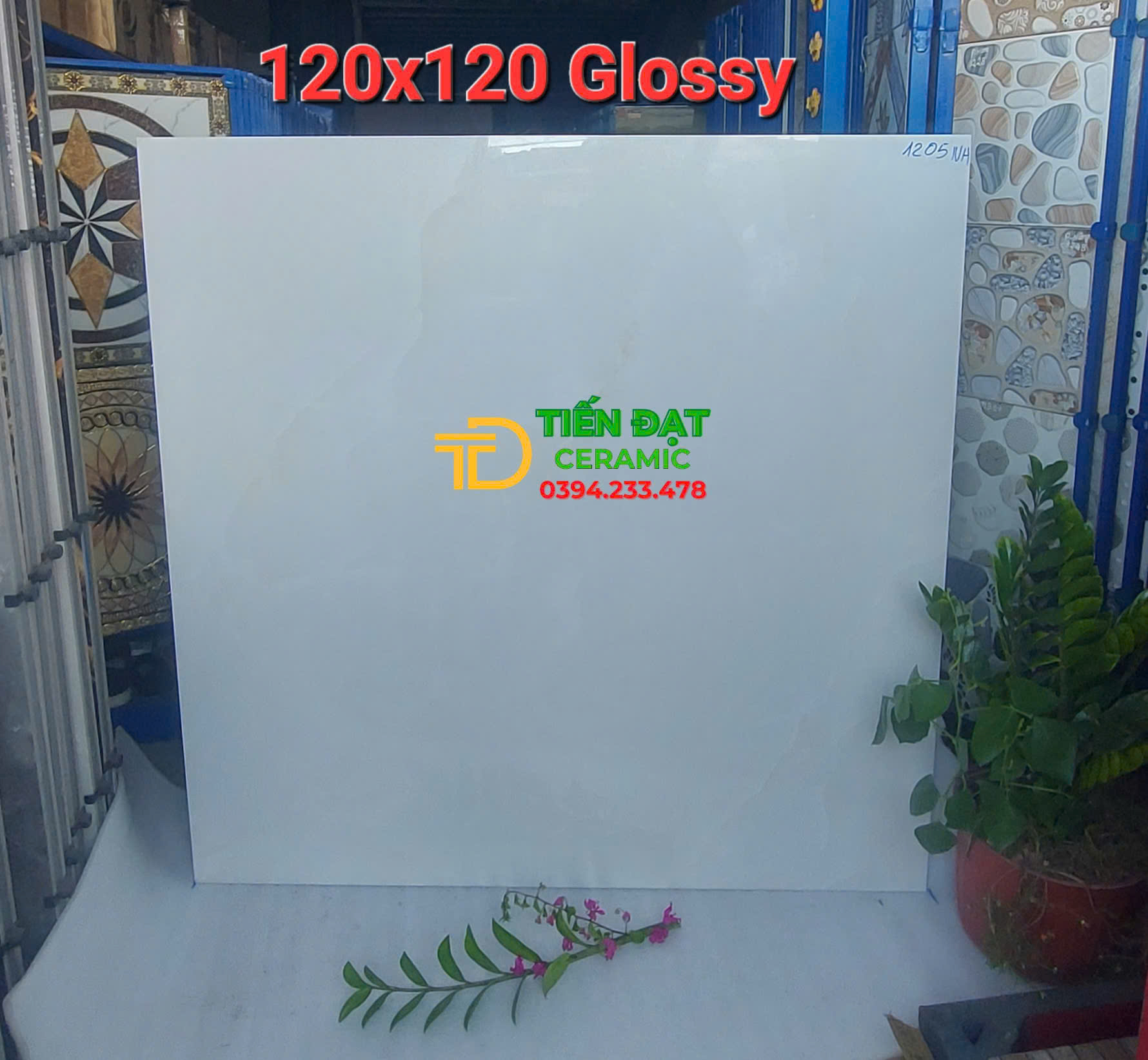 Tổng Đại Lý Gạch Gạch Khổ Lớn Ấn Độ 120x120 Tại Quận 7