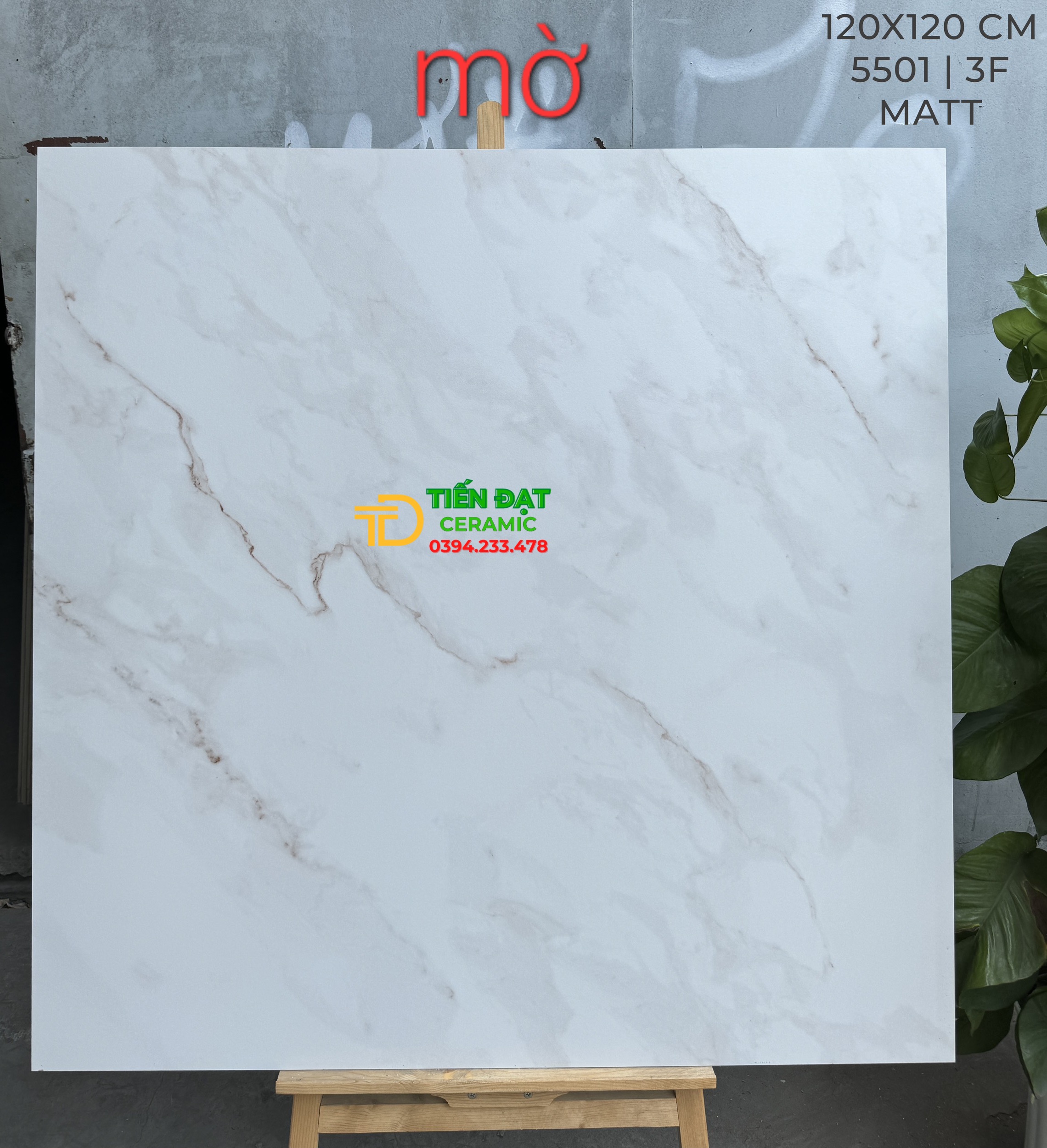 Top 293 Mẫu Gạch Lát Nền Phòng Khách 120x120 Đá Mờ Matt