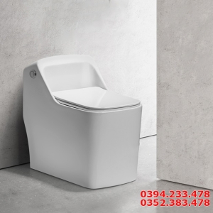 Bồn Cầu 1 khối trứng vuông vuông cao cấp