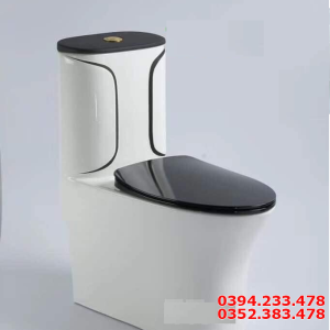 Bồn Cầu Liền Khối Viền Sọc Đen Đối Xứng