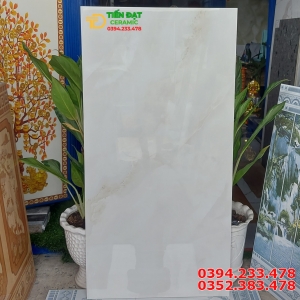 Đá Bóng Kính Vi Tinh 60x120 Ốp Lát Mới Nhất