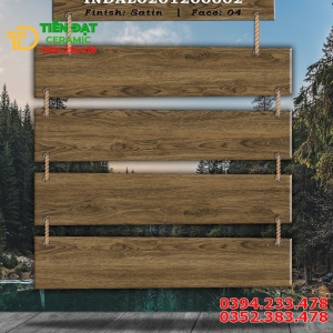 Đá Granite 20x120 Vân Giả Gỗ Nhập Khẩu Ấn Độ 