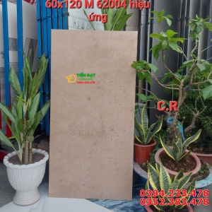Đá Mờ Hiệu Ứng Carving 60x120 Cao Cấp HCM
