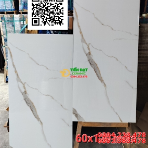 Đại Lý Gạch Khổ Lớn 60x120 Trắng Nhũ Vàng Mẫu Mới