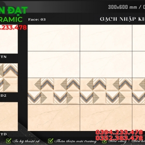 Đai Lý Gạch Ốp Lát Ấn Độ  30x60 Bộ Đậm Nhạt Vân Vàng