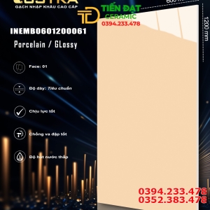 Đại Lý Gạch Ốp Lát ấn Độ 60x120 Vân Vàng Trơn