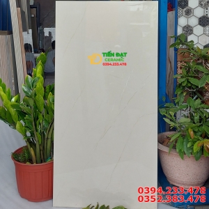 Đại Lý Gạch Ốp Lát Tasa 50x100 Vân Vàng Kem