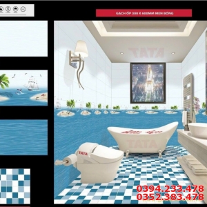 Đại Lý Gạch Ốp Tường TATA 30x60 Tại Tây Ninh Củ Chi