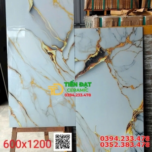 Gạch Ấn Độ 60x120 Lát Biệt Thự Ốp Mặt Tiền Nhũ Ánh Kim Mới Nhất