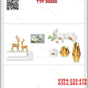 Gạch Bóng Kính 30x60 Ốp Lát Phòng Khách Cao Cấp