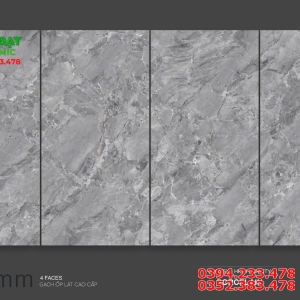 Gạch Bóng Kính TASA 80x160 Vân Xám Đá Marble
