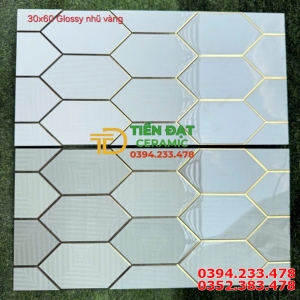 Gạch Bóng Kính TQ Khắc Kim Vàng 30x60 Cao Cấp Mẫu Mới