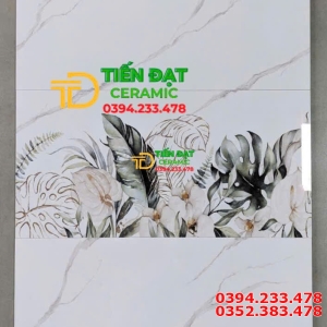 Gạch Cao Cấp 30x60 Đá Bóng Kiếng Vi Tinh Apodio