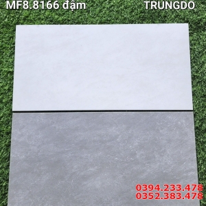 Gạch Cao CẤp 240x60 Đá Mờ Vân Xám Mẫu Mới