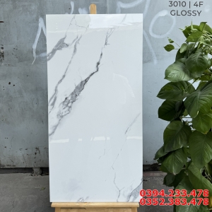 Gạch Cao Cấp 60x120 Trắng Vân Đen Mẫu Mới