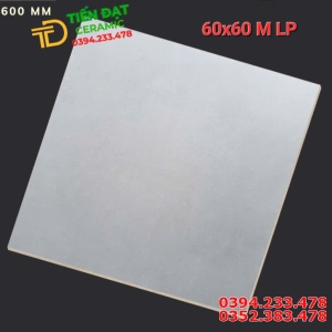 Gạch Đá Mờ Apodio Cao Cấp 60x60 Lát Tầng Hầm 