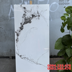 Gạch Đá Ốp Lát Biệt Thự 60x120 Trắng Vân Đá