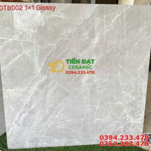 Gạch Đồng Chất 100x100 TQ Ốp Lát Nhà Hàng Cao Cấp
