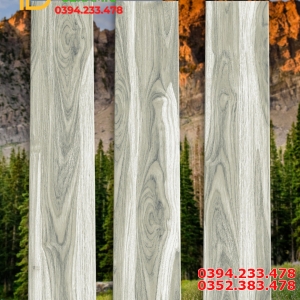 Gạch Giả Gỗ 20x100 Ấn Độ Mẫu Mới Cao Cấp Giá Rẻ