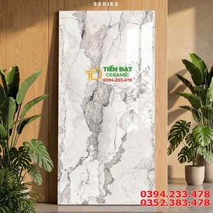 Gạch Khổ Lớn 60x120 Lát Nền Phòng Khách Cao Cấp