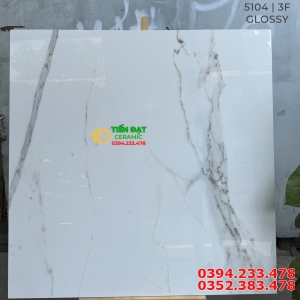 Gạch Khổ Lớn Ấn Độ 120x120 Trắng Vân Vi Tinh Mẫu Mới