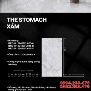 Gạch Khổ Lớn Ốp Tường 120x240 TQ Bóng Kính Xám Nhẹ