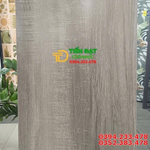 Gạch Lát Nền Phòng Ngủ 60x120 Apodio Mờ Mịn Mẫu Mới