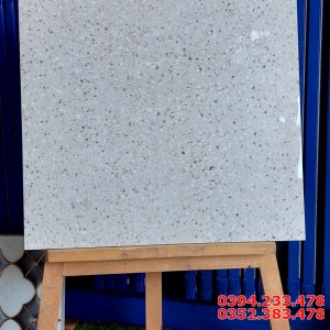 Gạch Lát Nền Terrazzo 60x60 Nhập Khẩu Ấn Độ