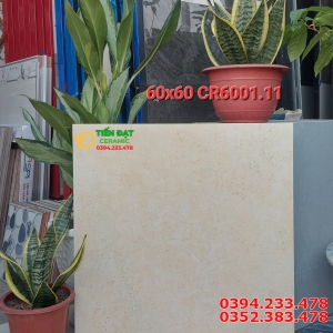 Gạch Mờ Cao Cấp 60x60 Vân Vàng Carving