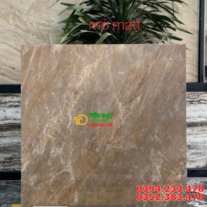Gạch Mờ Matt 100x100 Nhập Khẩu Ấn Độ Mẫu Mới 