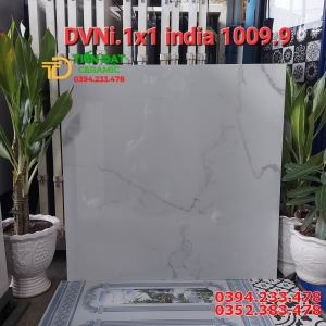 Gạch Nhập Khẩu 100x100 Ốp Tường Trắng Vân Ấn Độ