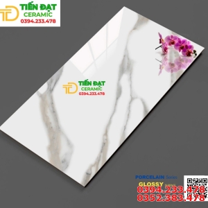 Gạch Nhập Khẩu 60x120 Trắng Vân To Đẹp Rẻ